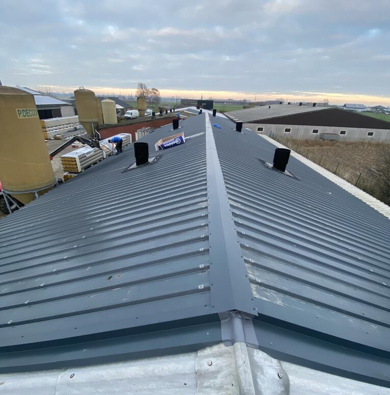 sandwichpanelen