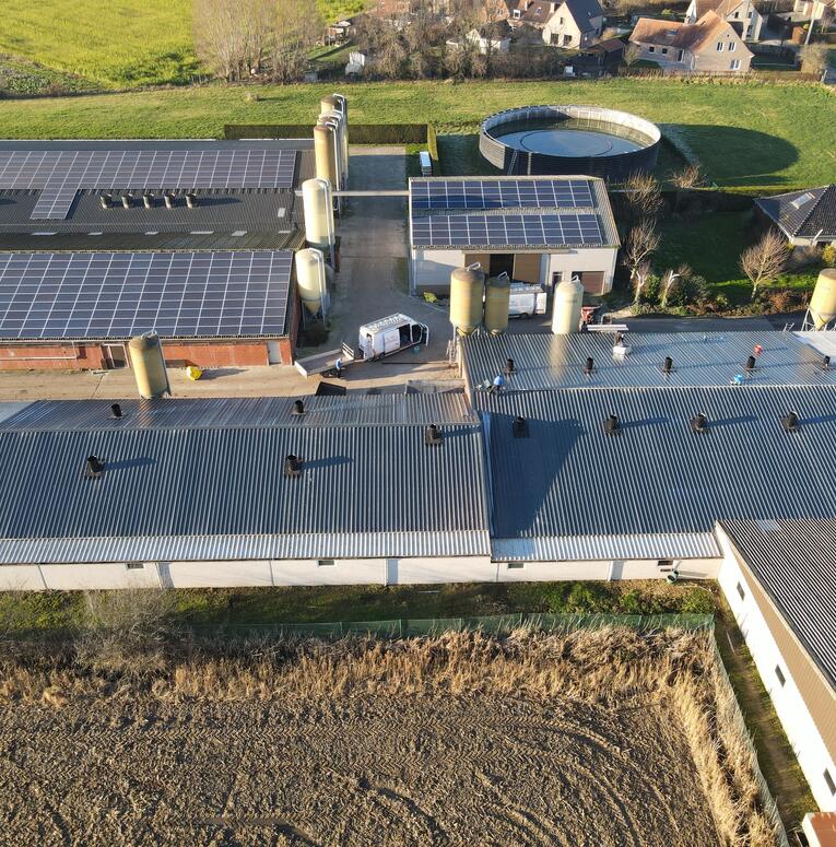 sandwichpanelen